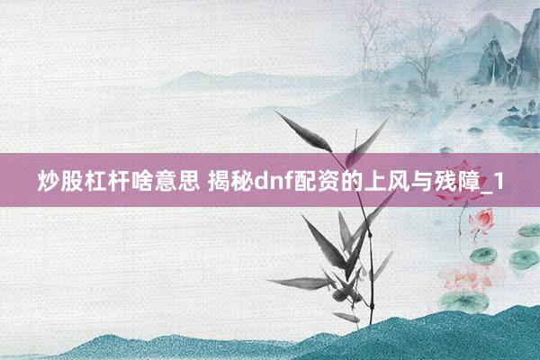 炒股杠杆啥意思 揭秘dnf配资的上风与残障_1